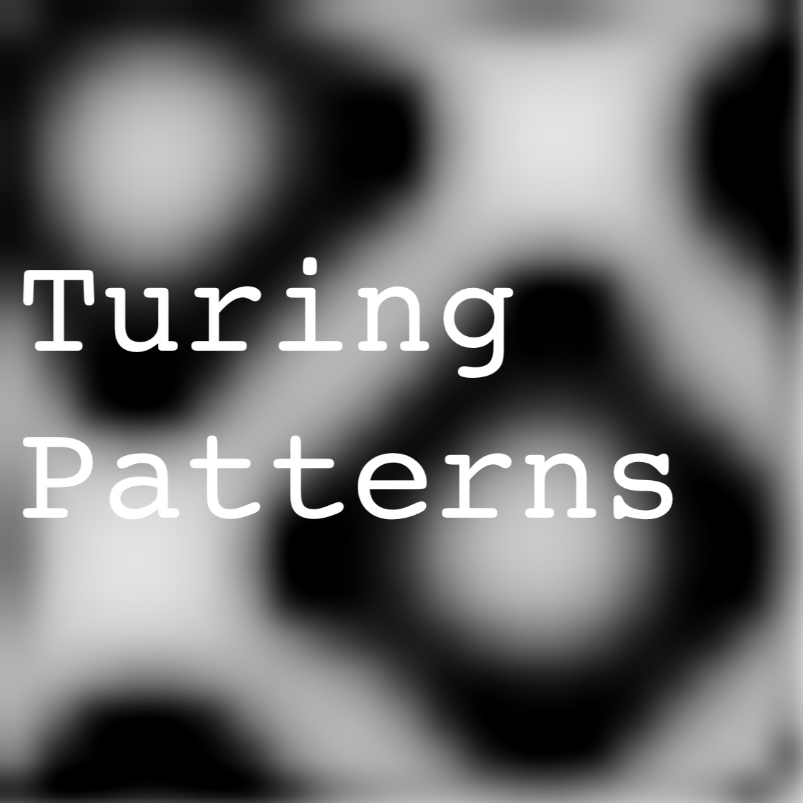 Turing Patterns